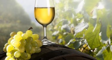 Во Полска и Холандија ќе се дегустираат македонски вина