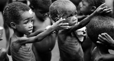 Во Латинска Америка гладува 8% од населението