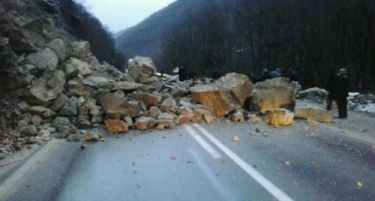 Голем одрон го блокираше патот Кичево-Охрид
