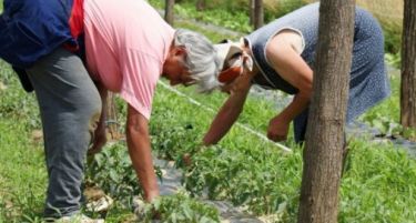 Решен проблемот меѓу земјоделците и водостопанствата во врска со субвенциите