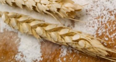 Српското брашно ќе го доведе во прашање откупот на домашното жито