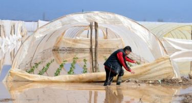 Струмичките земјоделци си ги земаа резултатите по февруарските поплави