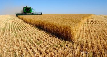 Препукувања: За откупот на пченицата Владата лаже, а СДСМ појма нема?!