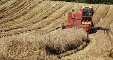 Димовски: Европската комисија и годинава позитивно го оцени македонското замјоделство