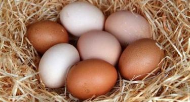Се ближи ли крајот за јајцето од кокошка