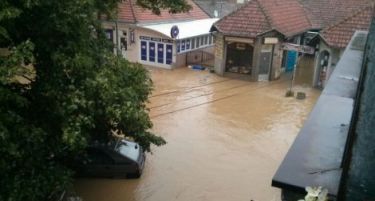 ПРВА ПРОЦЕНКА: На српското земјоделство ќе му требаат 4-5 години да се опорави од поплавите