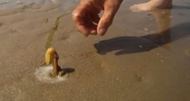 (ВИДЕО) Истурил сол на песокот на брегот: Погледнете што излегло од песокот!