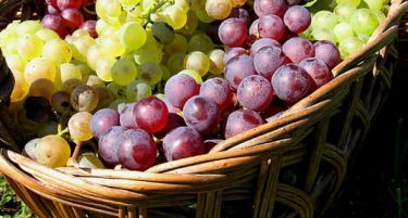 Семките на грозјето се поефикасни од хемотерапија за ракот