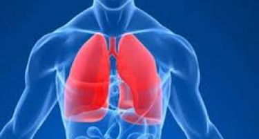СОВЕТИ ЗА ПУШАЧИТЕ: 4 намирници кои ви ги прочистуваат белите дробови