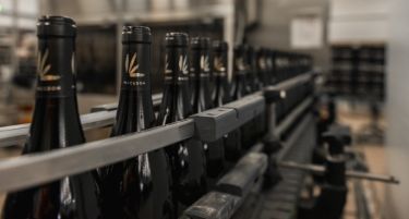 Ново пенливо вино на пазарот од винарија Камник