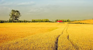 Македонија е втора по најнеобработена земјоделска површина во Европа