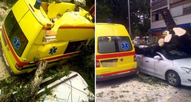 (ФОТО) ДРАМАТИЧНА СЦЕНА ВО ХРВАТСКА: Дрво паднало врз амбулантно возило и целосно го уништило