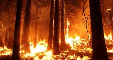 ГОРИ ВО ГРЦИЈА: Пожар беснее во околината на Пелопонез