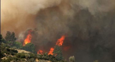 АКО СТЕ ВО ГРЦИЈА ВНИМАВАЈТЕ: Овој пожар брзо се шири