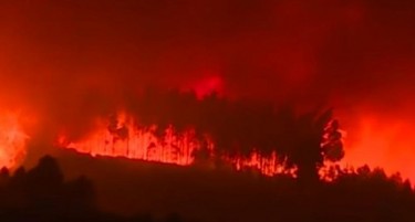 (ВИДЕО) ПОРТУГАЛИЈА ГОРИ: Скоро 2.000 пожарникари се борат со огнот