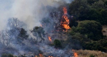 Беснеат пожари во Грција, гори и на местото каде лани загинаа над 100 луѓе
