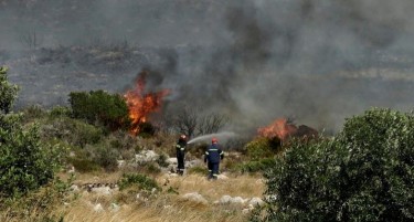 (ВИДЕО) Големи пожари, се евакуираат цели села во две земји