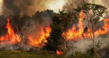 (ВИДЕО) ДЕНОТ СТАНА НОЌ: Шумите се претворија во пепел