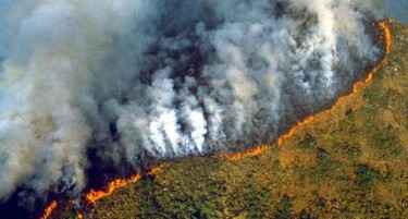 Бразил не може да се справи со пожарите?