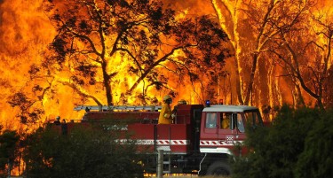 АВСТРАЛИЈА ПЛАМНА: Беснеат повеќе од 100 пожари