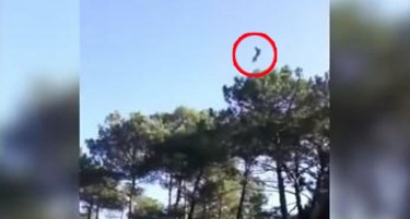 (ВИДЕО) Еве како е спасен пилотот кој висеше на далекувод