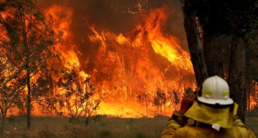 Шумски пожари беснеат во Австралија, најмалку три жртви