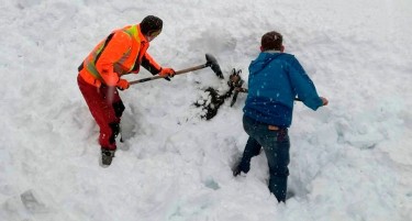(ВИДЕО+ФОТО) АВСТРИЈА Е БЛОКИРАНА: Снегот остави илјадници семејства без струја