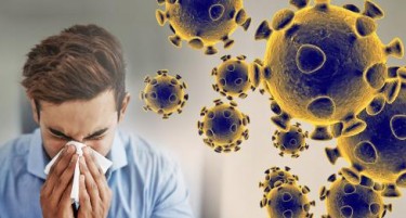 ШТО НАЈНОВО КАЖА СЗО - моменталната смртност од коронавирусот е 3,4 отсто, тој е поопасен од грипот