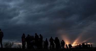 Грчка граница: Сопрено стампедо од емигранти, 231 уапсени