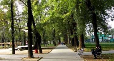 Некој ја украл бистата на Цветан Димов во Градски парк