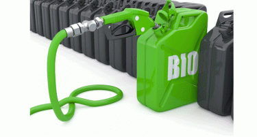Биогоривата со удел од само 0,19 проценти во вкупната потрошувачка на горива во 2019