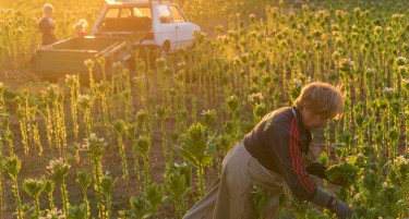 Жените фармери на Балканот се во првите борбени редови против климатската криза