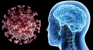 Ковид-19 влијае и на човечкиот мозок, тврди хрватски лекар