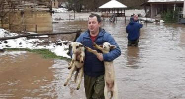 (ВИДЕО) Поплави во Србија, Косово и Албанија - цели села се под вода
