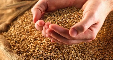 ЗА СЕДУМ ДО 10 ДЕНА СРБИЈА ЌЕ ЈА ТРГНЕ ЗАБРАНАТА ЗА ЗЕМЈАВА - ќе има пченица, пченка, брашно и масло за јадење