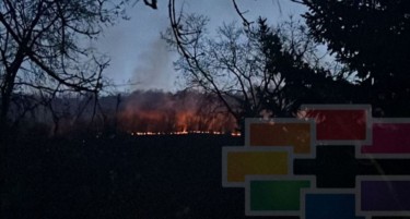 Локализиран пожарот над Елен Камен