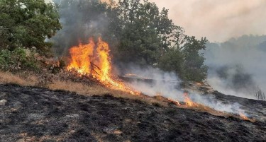 Изгаснат пожарот кај делчевско Разловци, од Општина Делчево апелираат да се заштити шумското богатство од пожари