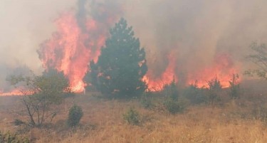 Пожарот меѓу Будинарци и Митрашинци е ставен под контрола