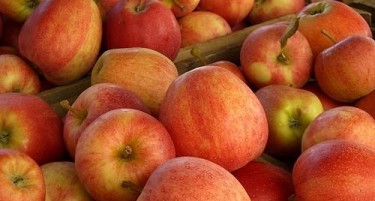 Живеј право и храни се здраво! Кој купи 745 тони јаболки со 325.000 евра народни пари?