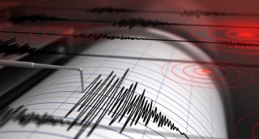 Земјотрес ја стресе Македонија