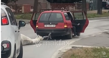 БЕЗДУШНО ГО ВЛЕЧЕА КОЊОТ ВРЗАН ЗА АВТОМОБИЛ, НО ПОЛИЦИЈАТА ГИ ЛИШИ ОД СЛОБОДА: Приведени три лица од Скопје кои го мачеа животното