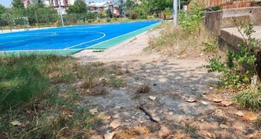 „ЏУРАСИК ПАРК ВО АЕРОДРОМ“: Фотографирана змија на детско игралиште
