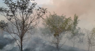 (ВИДЕО) Зема замав пожарот кај Ајватовци