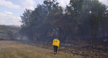 ЗАГРОЗЕНИ СЕ КУЌИ И ВИКЕНДИЦИ: Голем пожар има кај село Руѓинце
