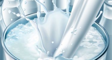 Хрватските фармери не испорачуваат млеко