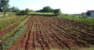Романија со план да го ограничи продавањето земјоделски површини