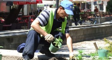 Дали знаете кој зема најголема, а кој најмала плата во Македонија?