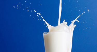 Нема штетни материи во млекото на Љубљански Млекари