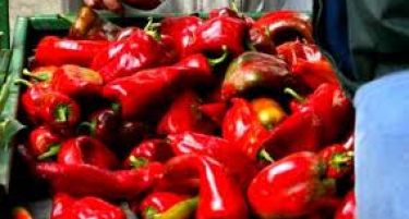 СТРАНСКИТЕ ТРГОВЦИ ЈА ЗЕМАА АЈВАРКАТА: Ќе остане ли Македонија без пиперки за зимница?