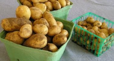 Австријците загрижени, ќе јадат помалку компири годинава